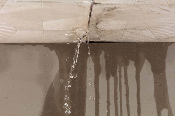 Professional Structural Drying technician working in Little Deer Isle, ME